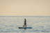 Alquiler de Paddle Surf (Barcelona)
