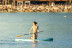 Alquiler de Paddle Surf (Barcelona)