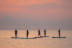Alquiler de Paddle Surf (Barcelona)