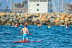 Alquiler de Paddle Surf (Barcelona)