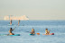 Alquiler de Paddle Surf (Barcelona)