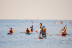 Alquiler de Paddle Surf (Barcelona)