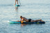 Alquiler de Paddle Surf (Barcelona)