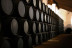Visita Clásica: Visita a Bodega y Cata de Vinos en Álvaro Domecq (Jerez de la Frontera, Cádiz)