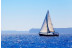 Excursión en Velero con Baño (Vilanova i la Geltrú, Barcelona)