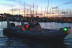 Amanecer en Barco con Fotos y Vídeos (La Caleta de Adeje, Tenerife)