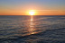 Amanecer en Barco con Fotos y Vídeos (La Caleta de Adeje, Tenerife)