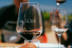 Tour y Cata: Visita con Cata y Degustación en Bodegas Ángel (Santa María del Camí, Mallorca)