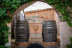 Tour y Cata: Visita con Cata y Degustación para dos en Bodegas Ángel (Santa María del Camí, Mallorca)