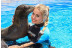 Animal Experience: Interactuar con Leones Marinos, Cuidador por un Día y Entrada a Mundomar (Benidorm, Alicante)