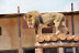 Entrada a Terra Natura y Aqua Natura (Murcia)