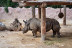 Entrada a Terra Natura y Aqua Natura (Murcia)