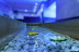 Circuito Spa en Aquaplus Spa de Arrecife Gran Hotel & Spa 5* (Lanzarote)