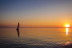 Atardecer en Velero para dos: Sotogrande Sunset Experience (Sotogrande, Cádiz)