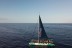 Avistamiento y Escucha de Ballenas y Delfines de 5 horas (Costa Adeje, Tenerife) 