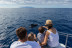 Avistamiento y Escucha de Ballenas y Delfines de 5 horas (Costa Adeje, Tenerife) 