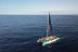 Avistamiento y Escucha de Ballenas y Delfines de 5 horas (Costa Adeje, Tenerife) 