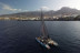 Avistamiento y Escucha de Ballenas y Delfines de 5 horas (Costa Adeje, Tenerife) 