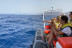 Tour de Avistamiento de Cetáceos para ver Delfines y Ballenas (Morro Jable, Fuerteventura)
