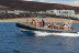 Tour de Avistamiento de Cetáceos para ver Delfines y Ballenas (Morro Jable, Fuerteventura)