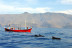 Excursión en Barco con Avistamiento de Cetáceos (La Gomera)