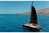 Excursión en Catamarán Chill-Out con Avistamiento de Cetáceos (Costa Adeje, Tenerife) 