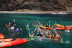 Paseo en Barco, Avistamiento de Cetáceos y Kayak (Los Gigantes, Tenerife)