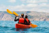 Paseo en Barco, Avistamiento de Cetáceos y Kayak (Los Gigantes, Tenerife)