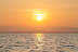 Delfines y Amanecer: Avistamiento de Delfines en Barco (S'Arenal, Mallorca)
