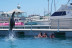 Baño con Leones Marinos (Fuerteventura, Las Palmas)