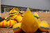 BANANA BOAT (BUS SKI) para dos (Salou o Cambrils, Tarragona)