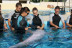 Encuentro con Delfines (Tarragona)