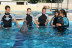 Encuentro con Delfines (Tarragona)