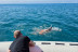 Private Connection: Salida Privada en Barca con Snorkel y Aperitivo Mediterráneo (Arguineguín, Las Palmas de Gran Canaria)