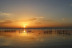 Paseo en Barca por la Albufera (Valencia)