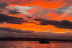 Paseo en Barca por la Albufera (Valencia)