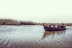 Paseo en Barca por la Albufera (Valencia)
