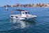 Salida en Barco Privado con Avistamiento de Delfines, Snorkel, Paddle SUP y Bebida Ilimitada para dos (Benalmádena, Málaga)