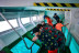 Avistamiento de Cetáceos en Barco Celia Cruz con Visión Submarina (Fuerteventura, Las Palmas)