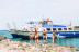 Paseo en Barco desde Ciutadella: Son Saura-Cala Turqueta, Macarella-Macarellata (Menorca)