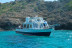 Salida en Barco: Superman Boat Tour (El Arenal, Mallorca)