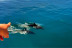 Paseo en Barco Privado para dos en Busca de Delfines por la Bahía de Estepona con Cava y Picoteo (Málaga)