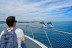 Paseo en Barco Privado para dos en Busca de Delfines por la Bahía de Estepona con Cava y Picoteo (Málaga)