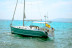 Day Charter: Salida de Medio Día en Barco (Palma, Mallorca)