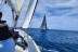 Paseo en Barco con Parasailing, Paddle Surf y Copa de Cava Premium (Torrevieja, Alicante)