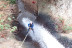 Barranquismo con Snack y Fotos (Barranco de los Cernícalos, Gran Canaria)