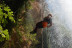 Barranquismo con Fotos en Gorgo de la Escalera o Barranco de Cucal·les (Valencia / Alicante)