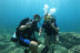 Iniciación al Buceo con Reportaje Fotográfico: Discover Scuba Diving (Calpe, Alicante)