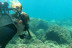 Iniciación al Buceo con Reportaje Fotográfico: Discover Scuba Diving (Calpe, Alicante)