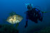 Bautismo de Buceo en Calvià (Mallorca)